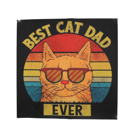 تکه‌دوزی فانتزی حرارتی best cat