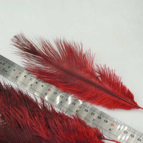 پر سوزنی دانه ای
متوسط