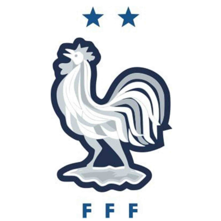 تصویر برچسب اتویی فوتبال فرانسه