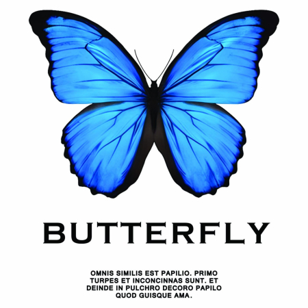 برچسب اتویی پروانه