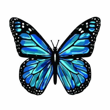 تصویر برچسب اتویی پروانه