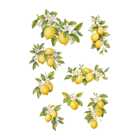 تصویر پک برچسب اتویی لیمو