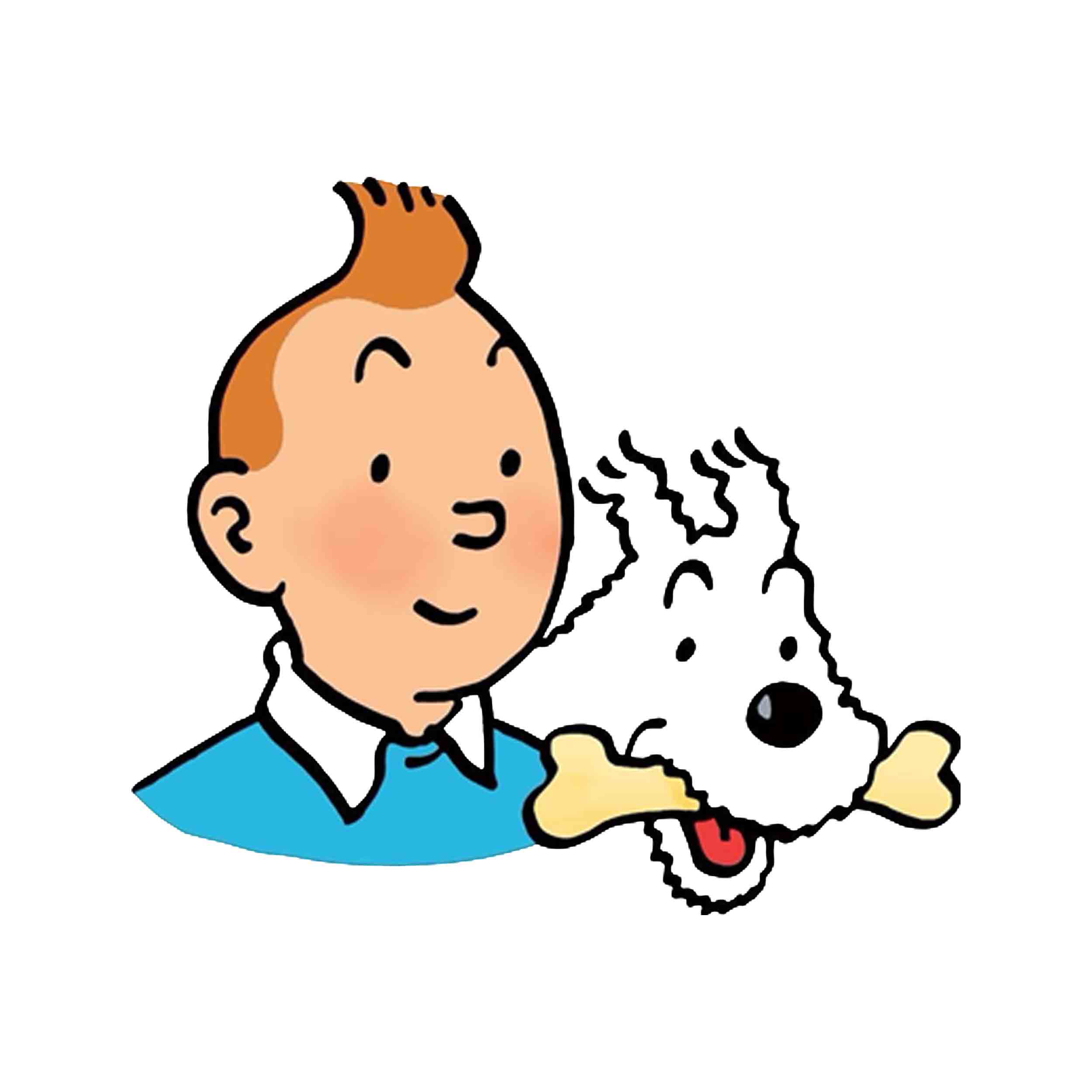 برچسب اتویی تن تن