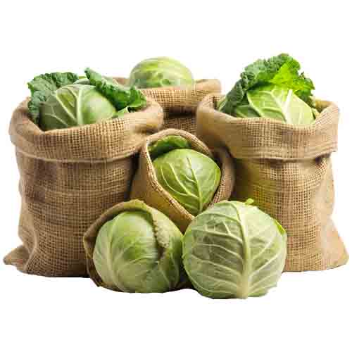 تصویر برچسب اتویی کاهو و کلم