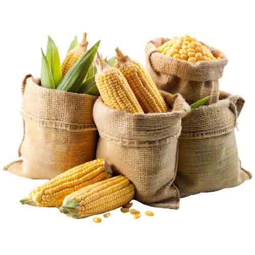 تصویر برچسب اتویی سبزیجات