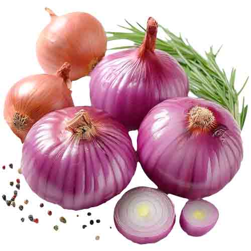 تصویر برچسب اتویی پیاز